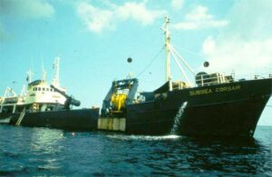 M.V. Subsea Corsair
