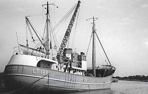 M.T. Kingfish LT186